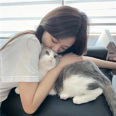 兔子暴力