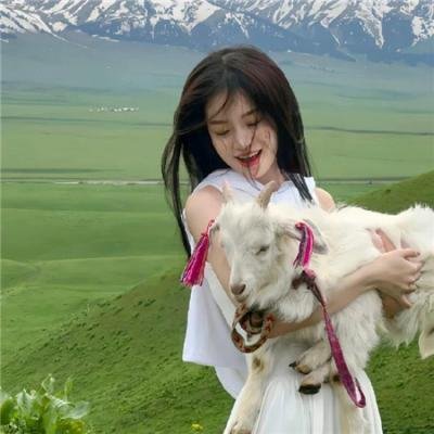 鹤形刁手螳螂腿